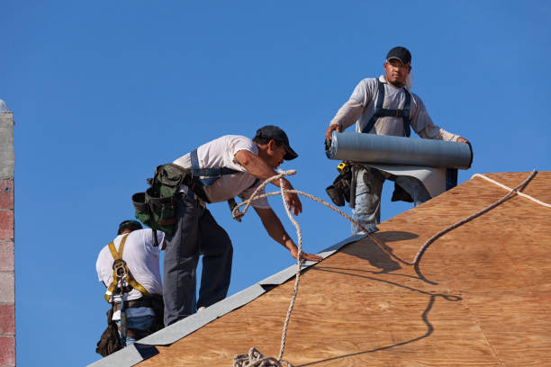 Best Storm Damage Roof Repair  in Warrenton, VA