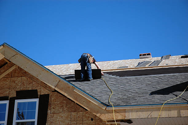 Roof Gutter Cleaning in Warrenton, VA